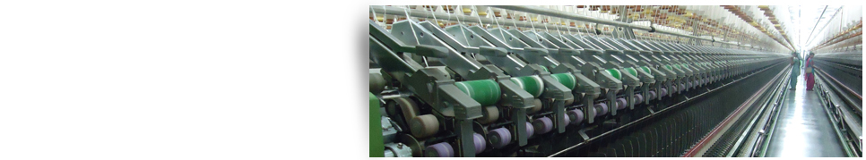 Aarti International Ltd.